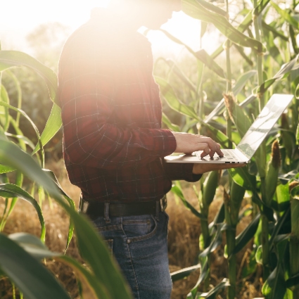 a farmer working on his laptop in the field