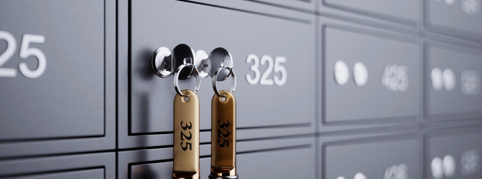 safe deposit boxes with two keys in a lock